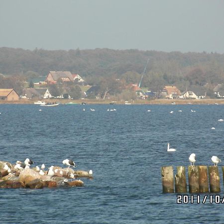 Pension Deichgraf Middelhagen Esterno foto