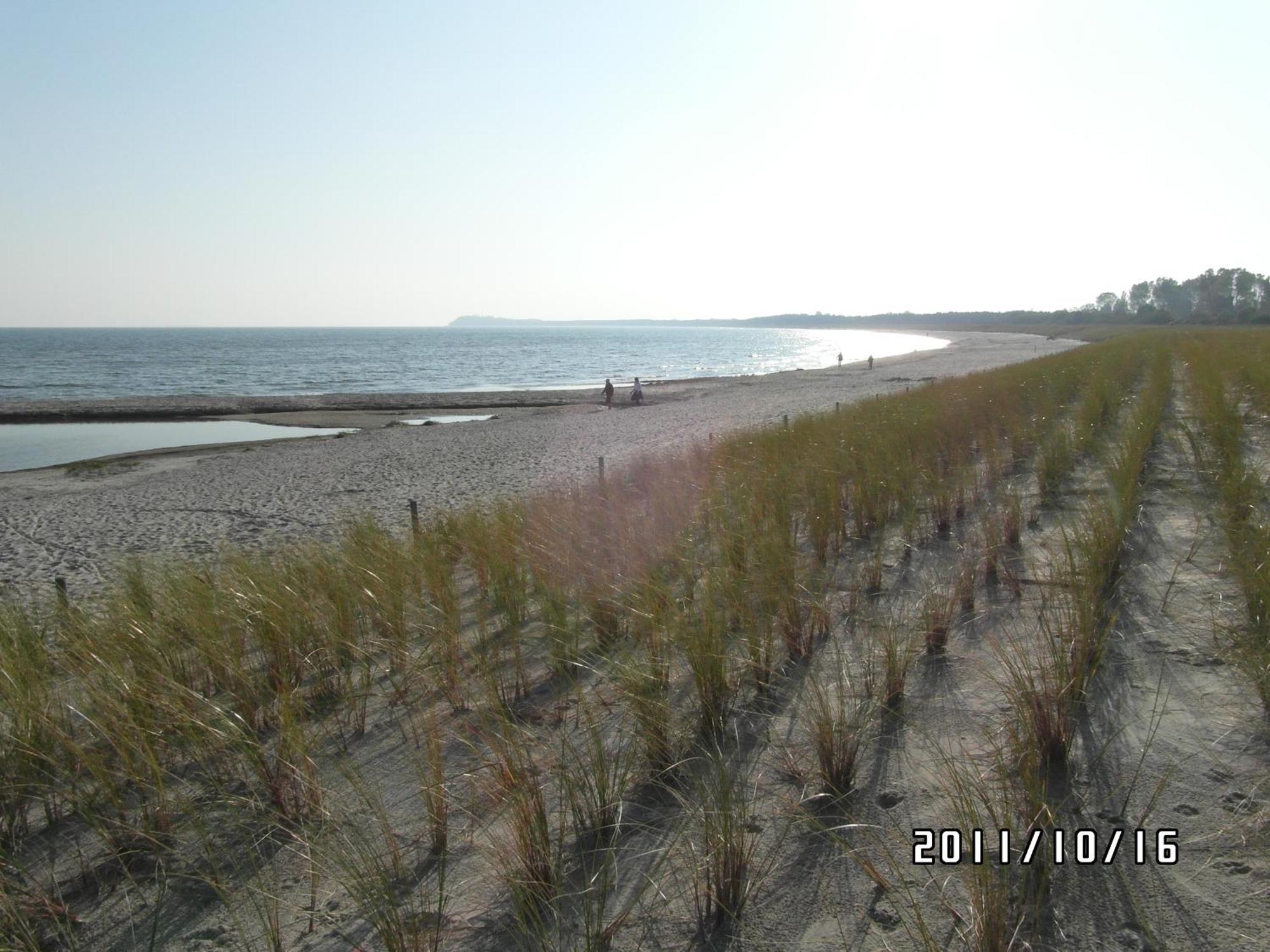 Pension Deichgraf Middelhagen Esterno foto