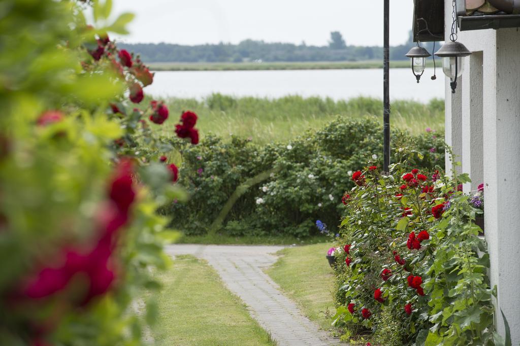Pension Deichgraf Middelhagen Esterno foto
